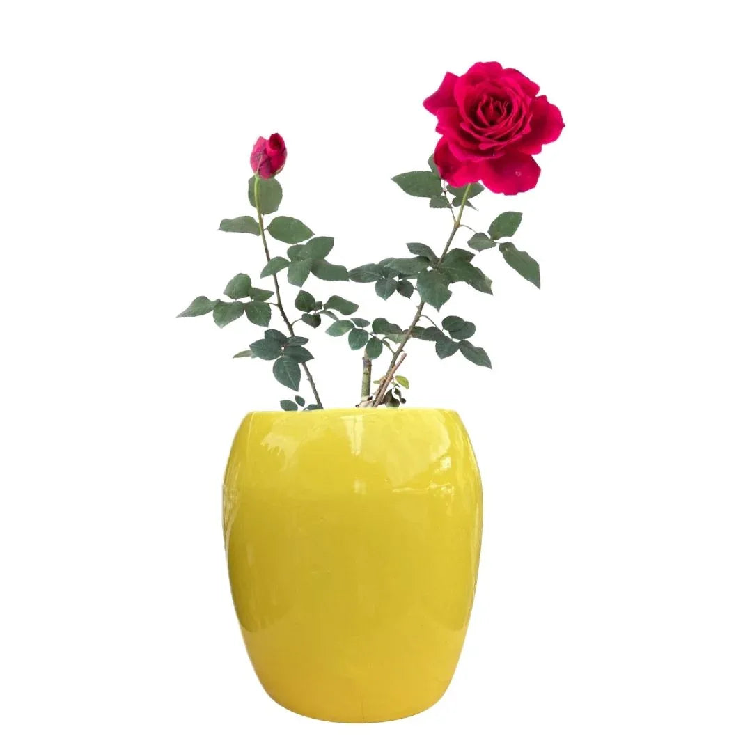 MACETA DE CERAMICA OLEO GRANDE - Vivero Yañez 