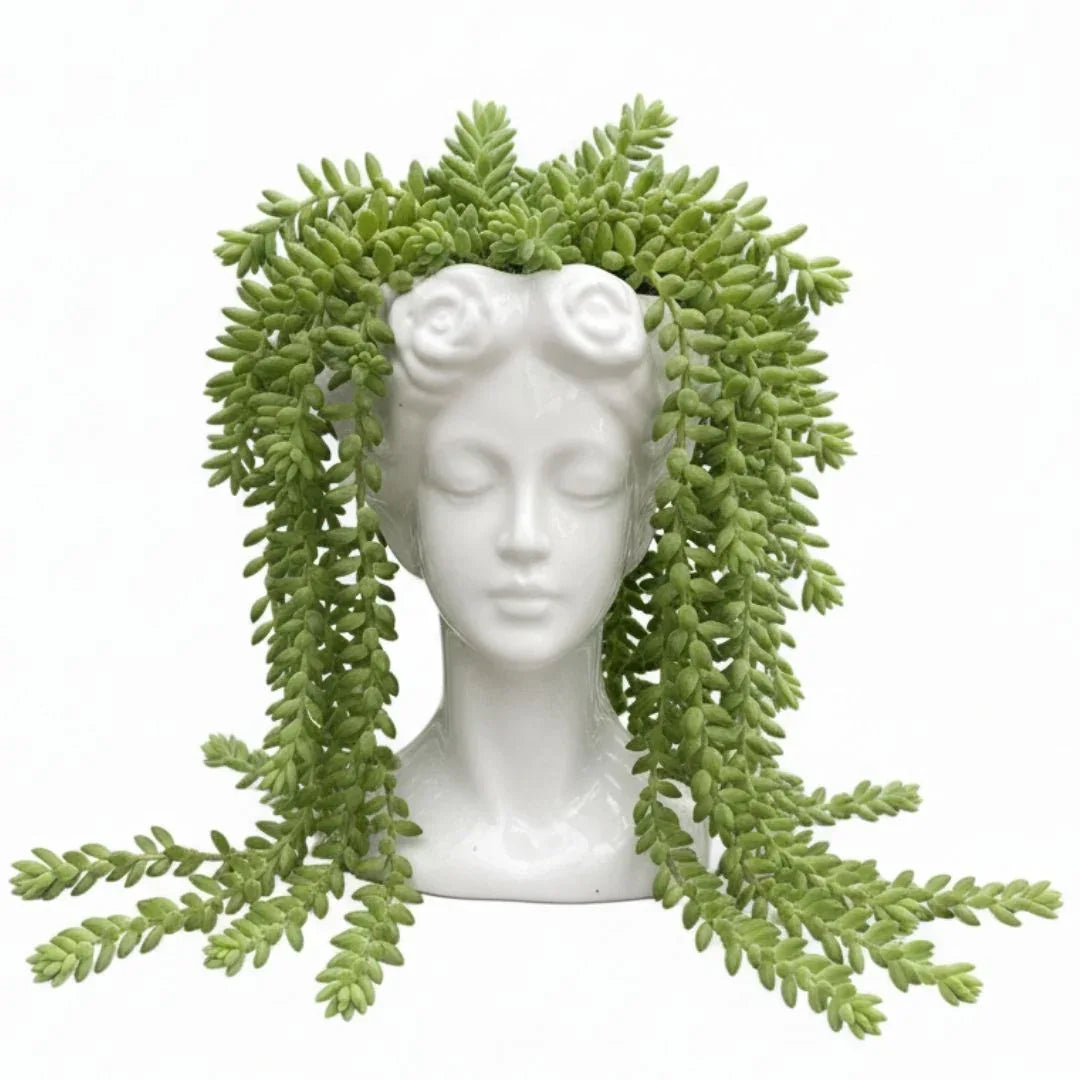 MACETA DE CERAMICA OLIVIA - Vivero Yañez 