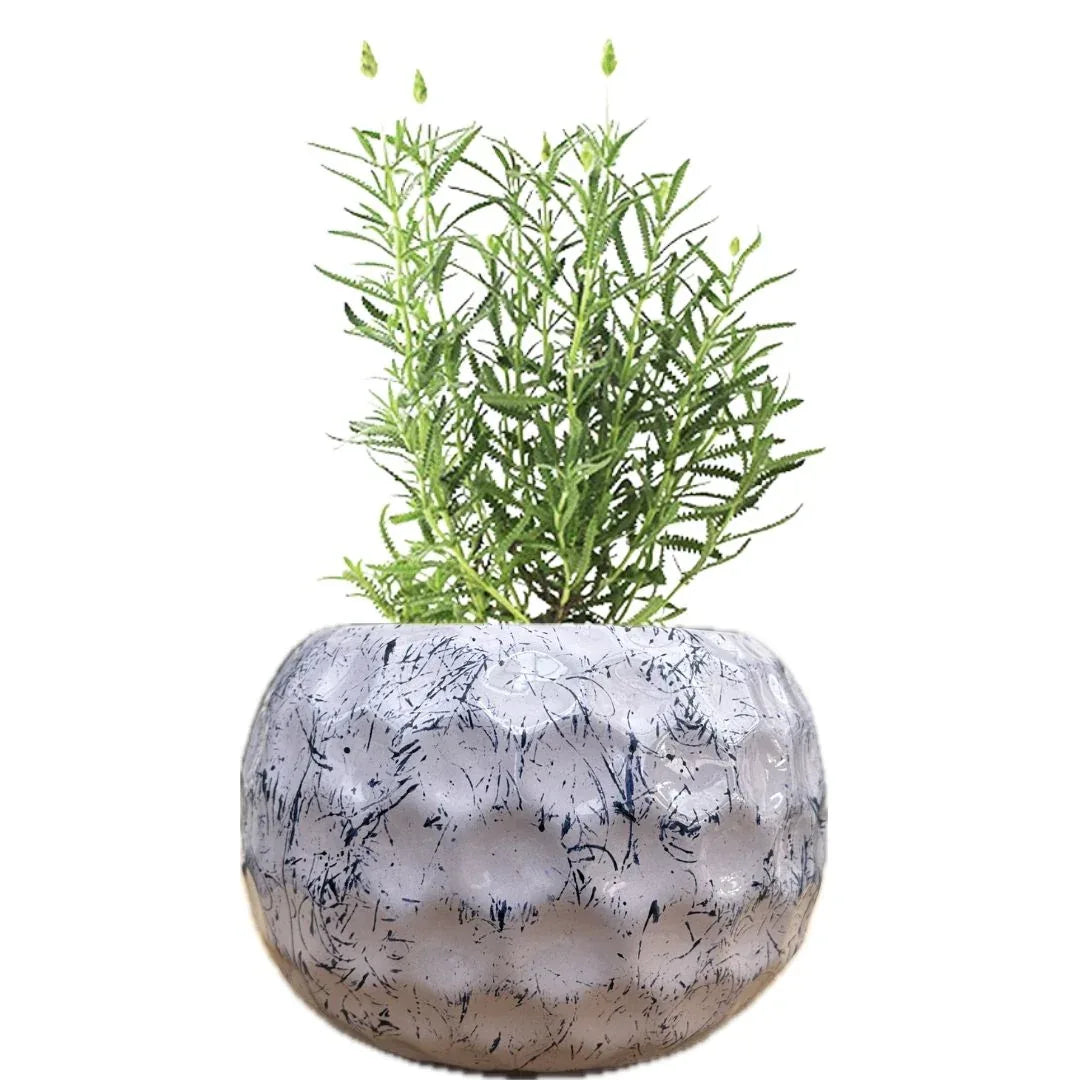 MACETA DE CERAMICA ORFE - Vivero Yañez 
