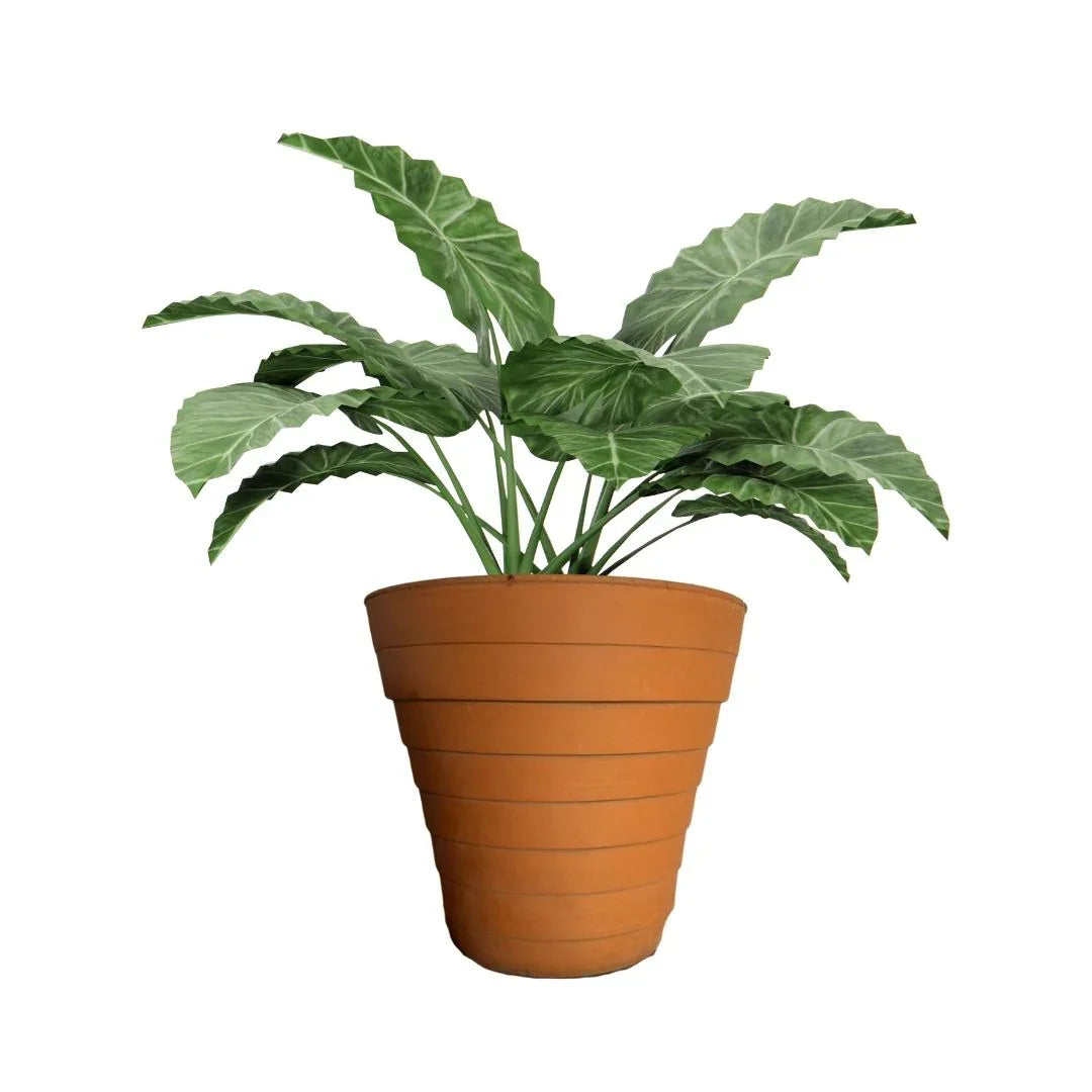 MACETA BARRO NATURAL P40 - Vivero Yañez 