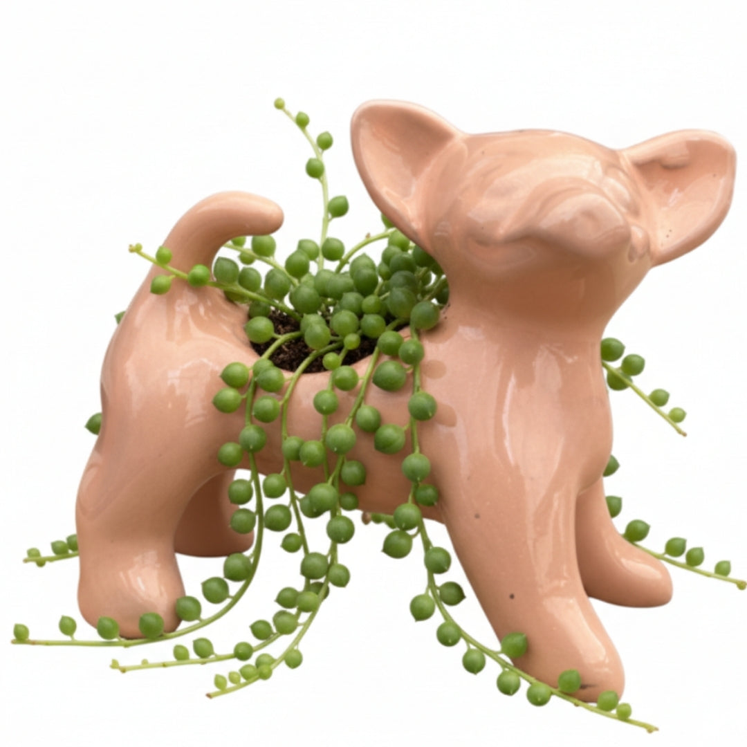 MACETA DE CERAMICA PERRO