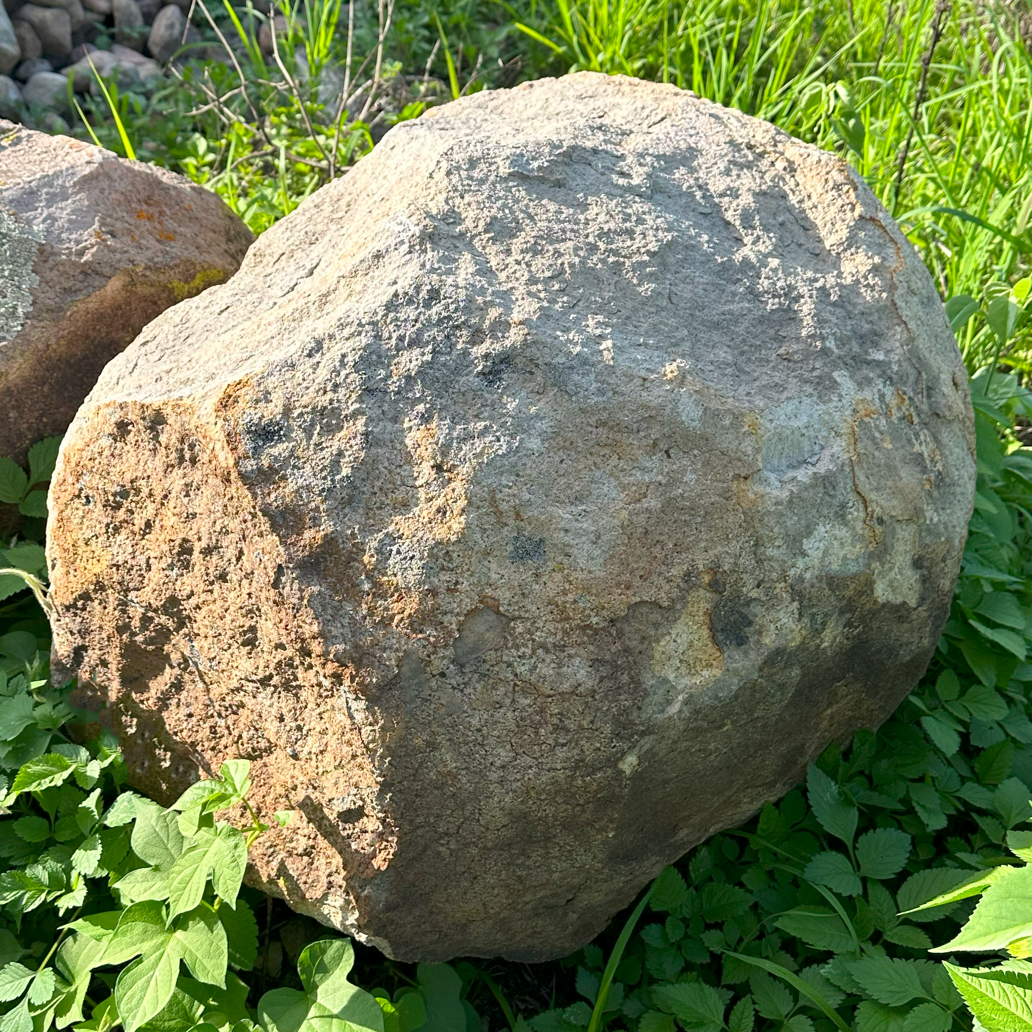 PIEDRA DECORATIVA NATURAL BEIGE O GRIS DE 40 A 60 CM (PZA)