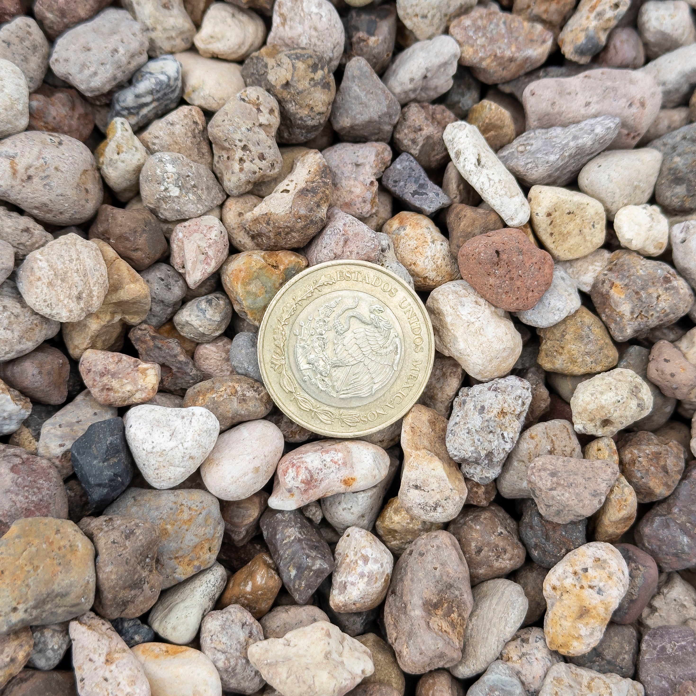PIEDRA DE RIO PIÑON ECONOMICO 3/8 IN (ARPILLA)