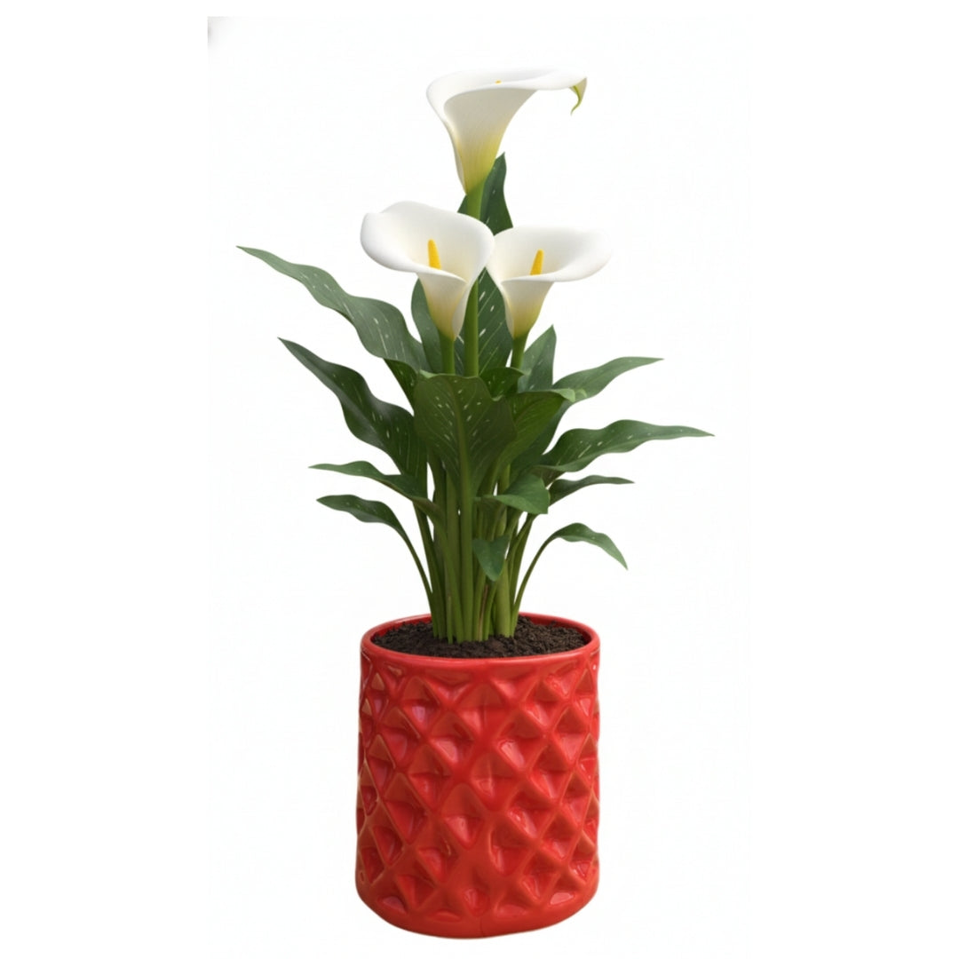 MACETA DE CERAMICA PLECTRON