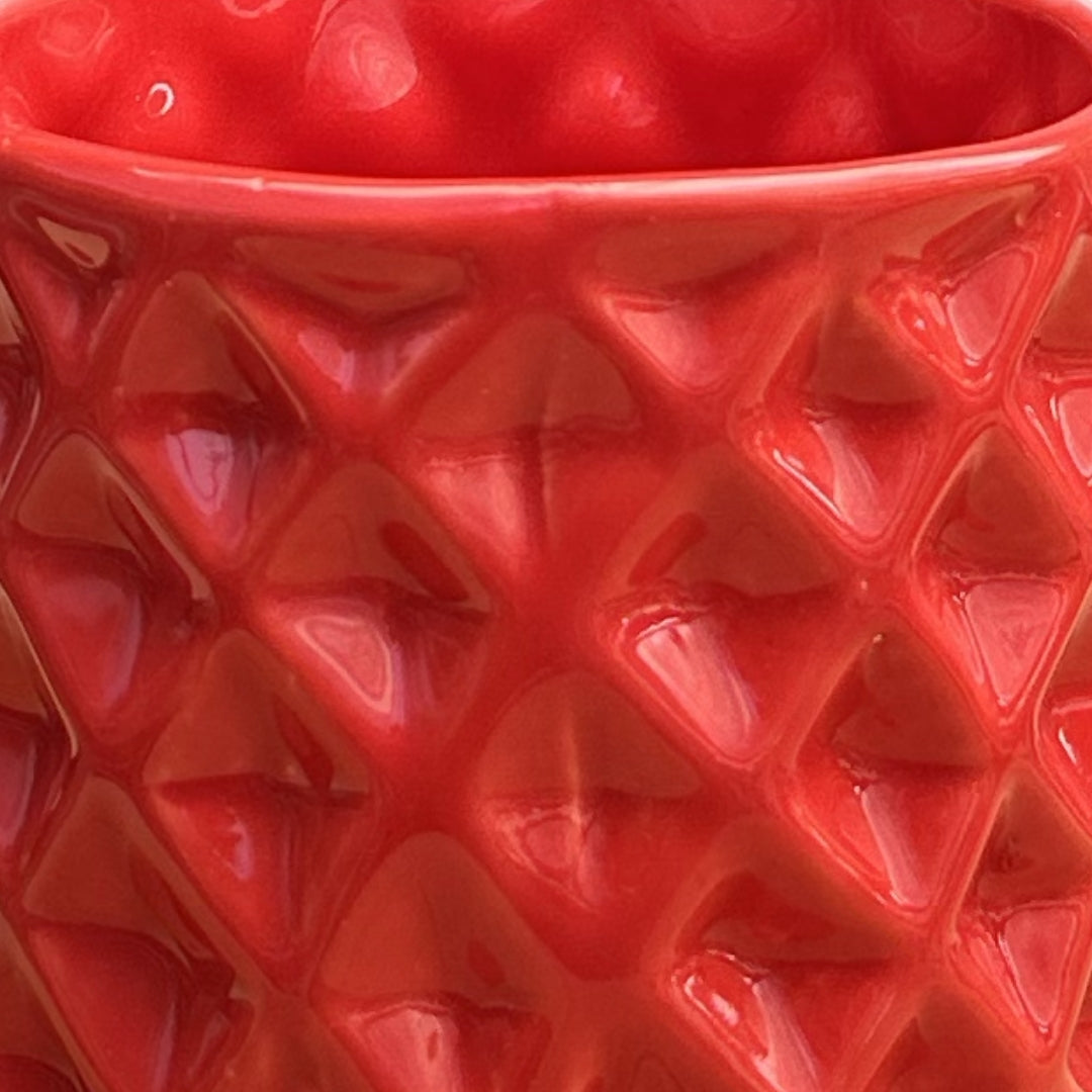 MACETA DE CERAMICA PLECTRON