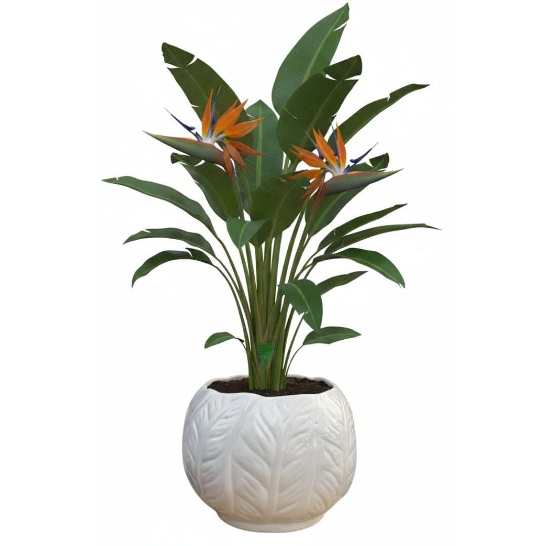 MACETA DE CERAMICA PLUMBEO