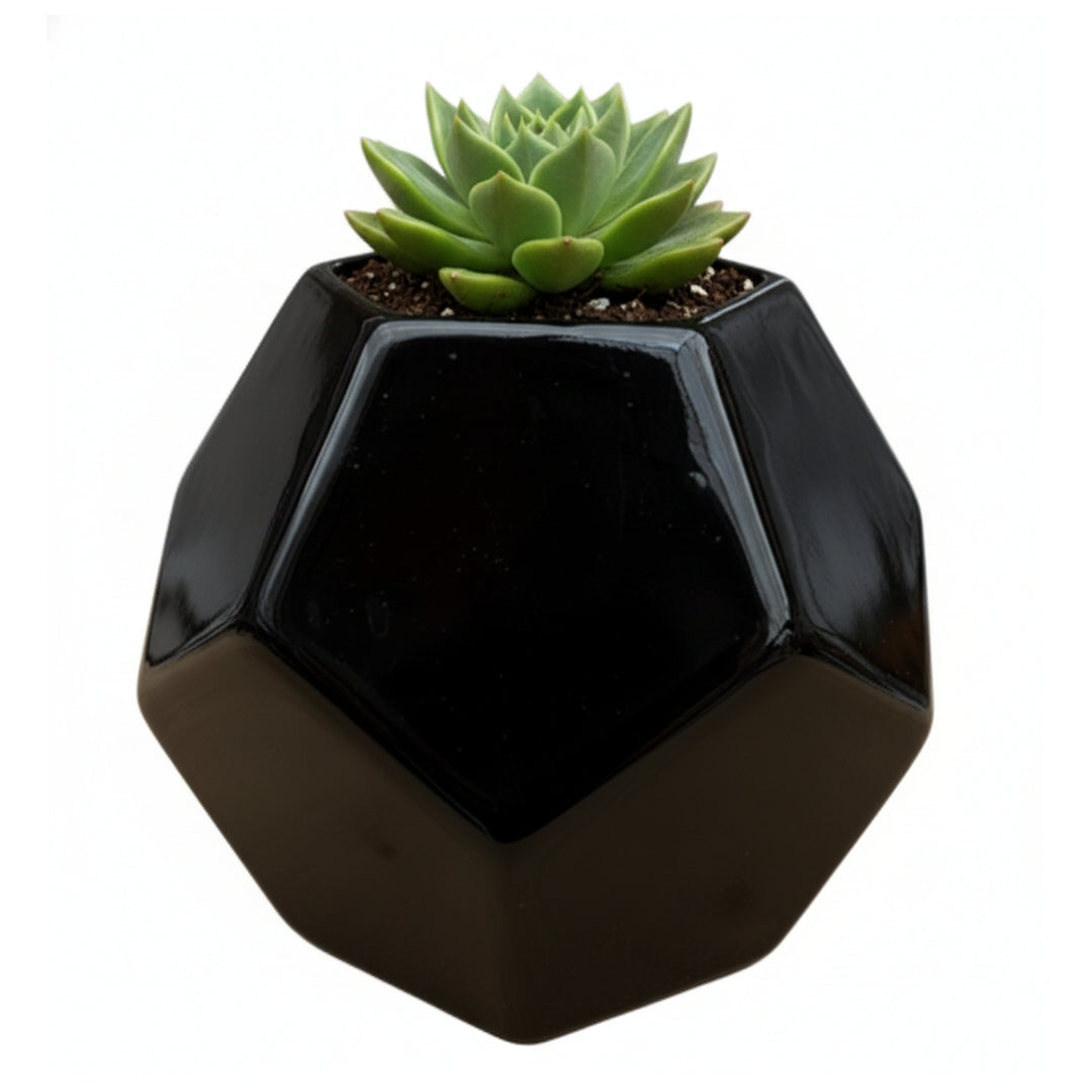 MACETA DE CERAMICA PRISTINO CHICO