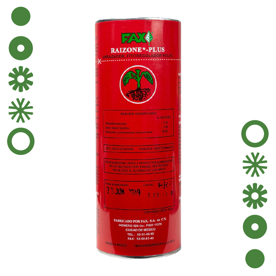 RAIZONE PLUS 350GRS -