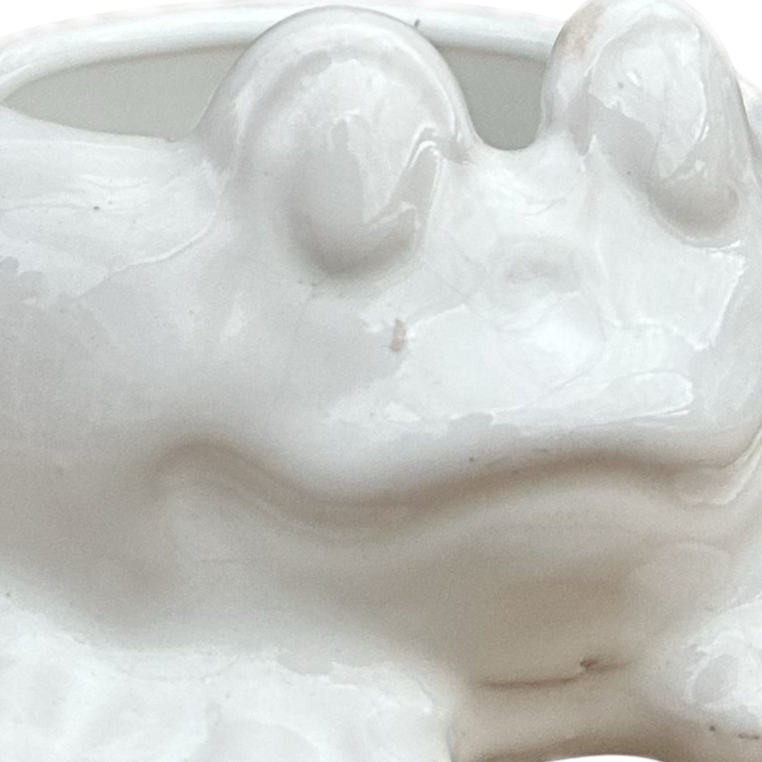 MACETA DE CERAMICA RANA