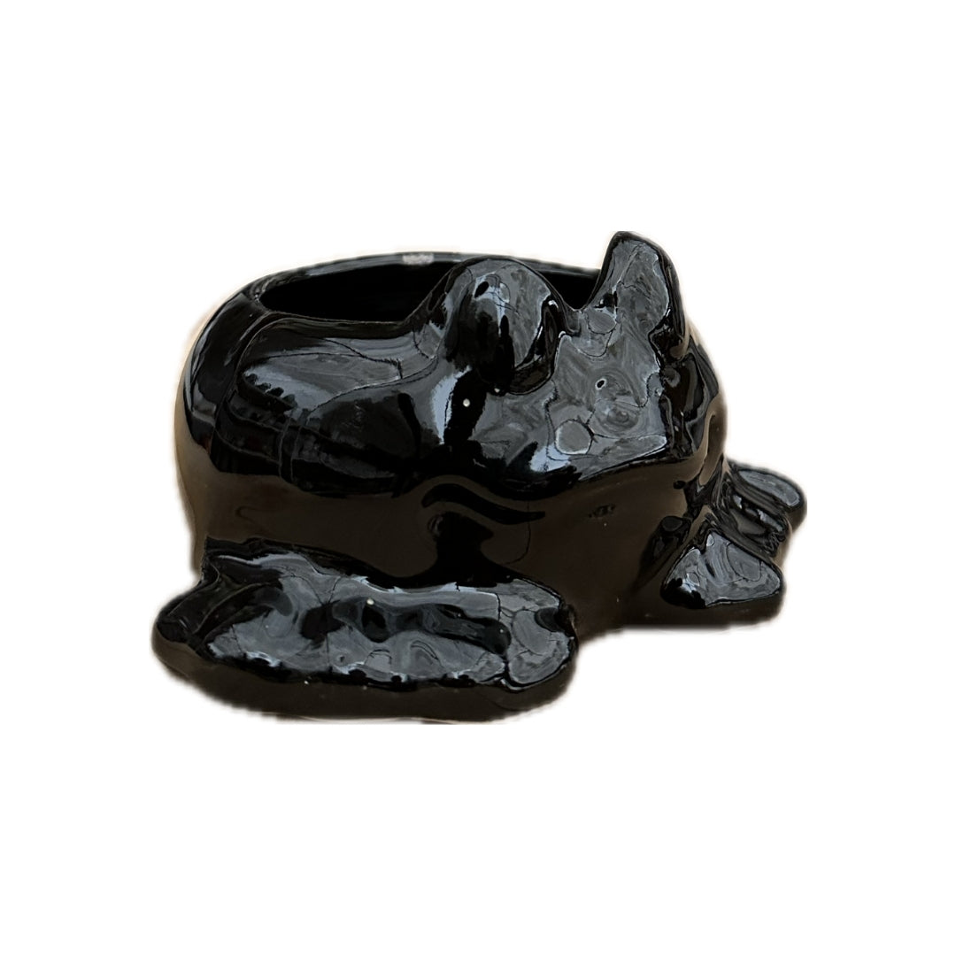 MACETA DE CERAMICA RANA