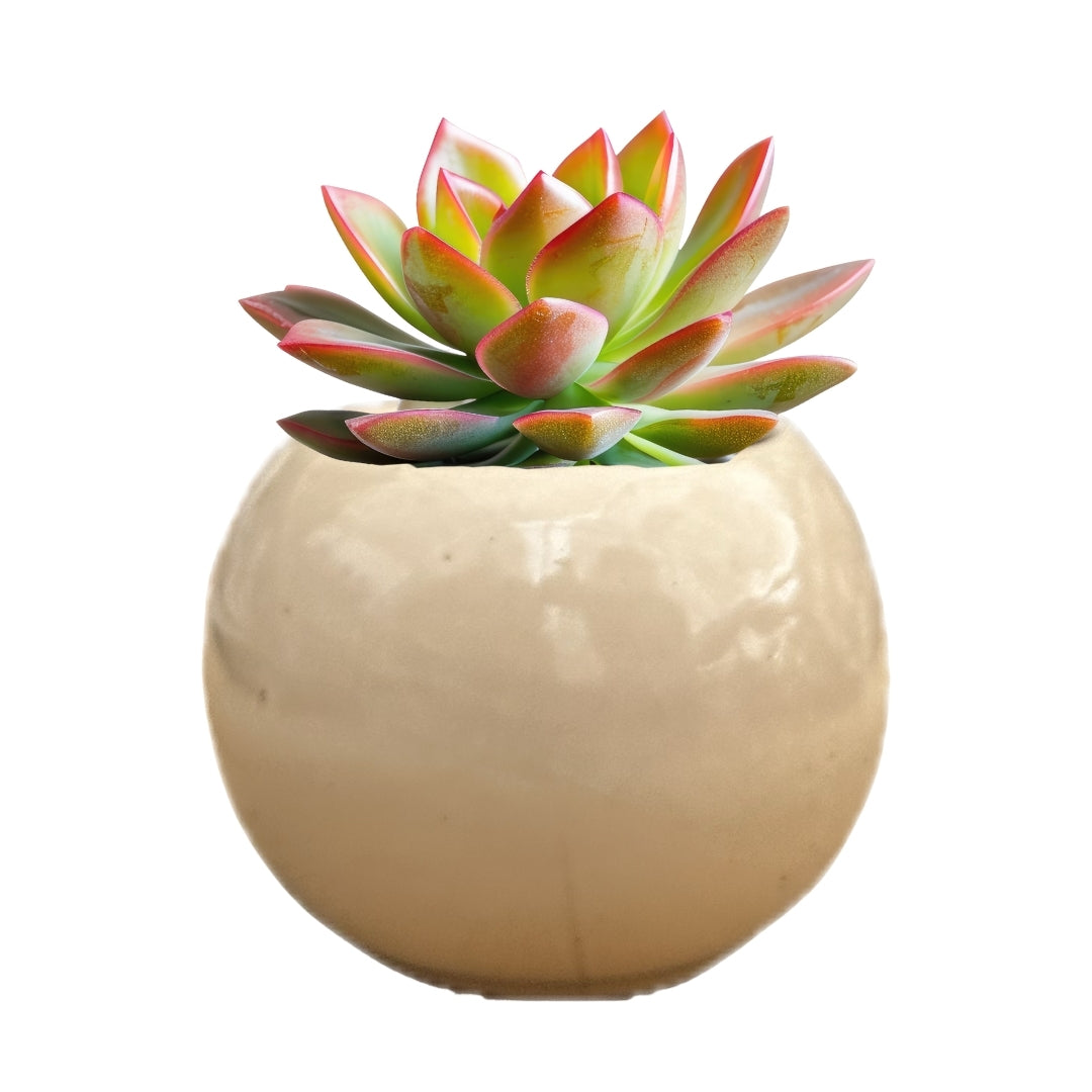 MACETA DE CERAMICA RELIEF MINI