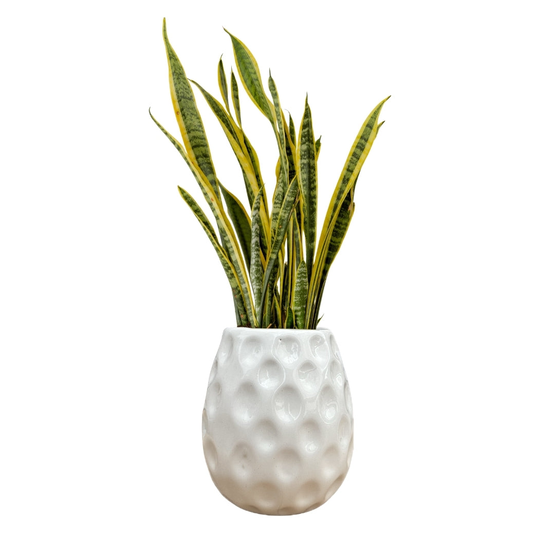 MACETA DE CERAMICA RITUAN GRANDE