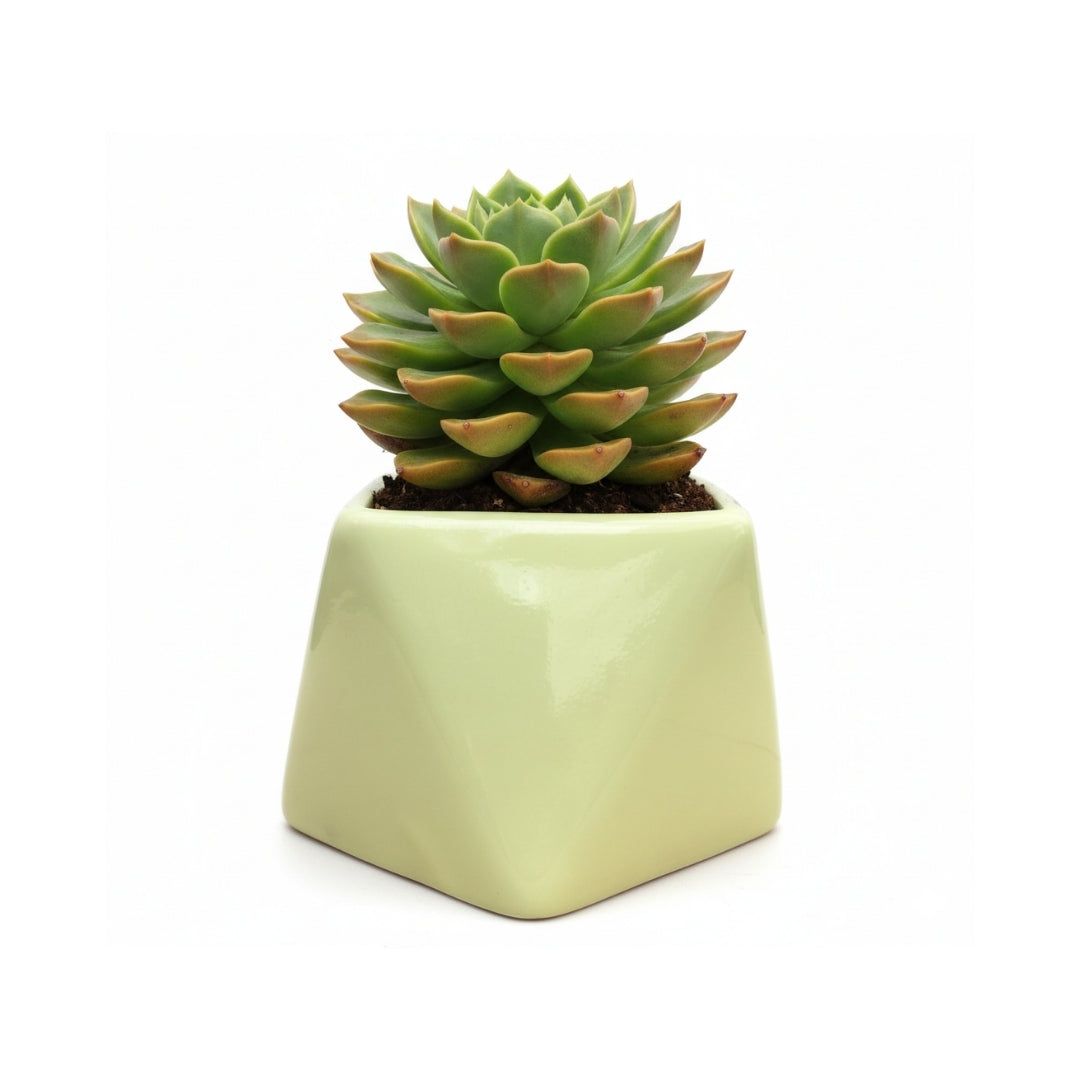 MACETA DE CERAMICA SIROCO