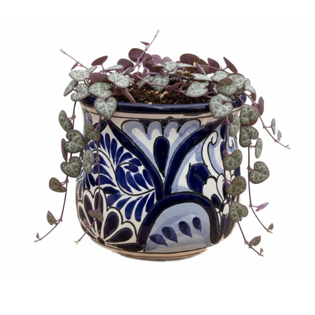 MACETA DE CERAMICA TALAVERA CHICO