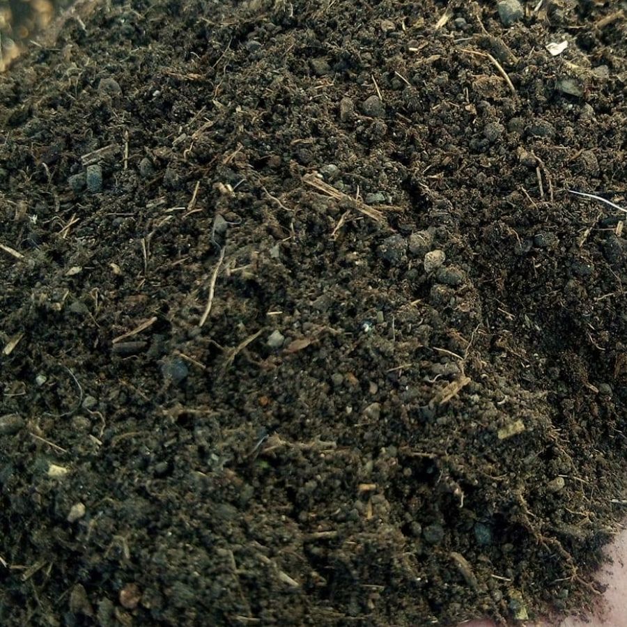 TIERRA COMPOSTA (BT)