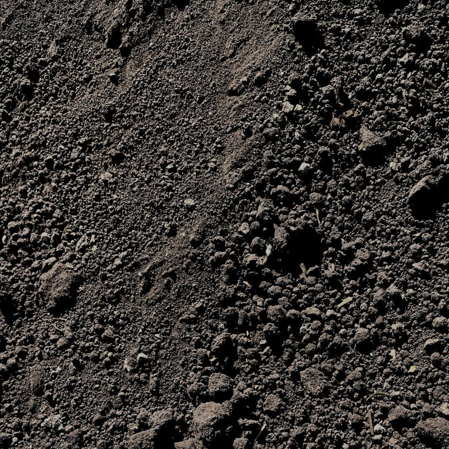 TIERRA NEGRA (BT)