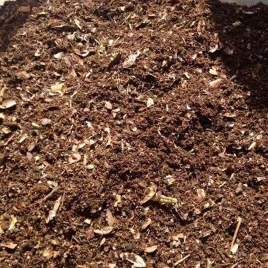 TIERRA MOLIDA (BT)