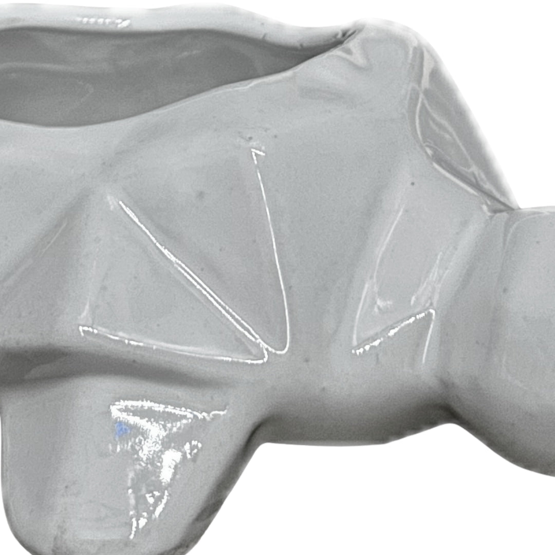 MACETA DE CERAMICA TORTUGA