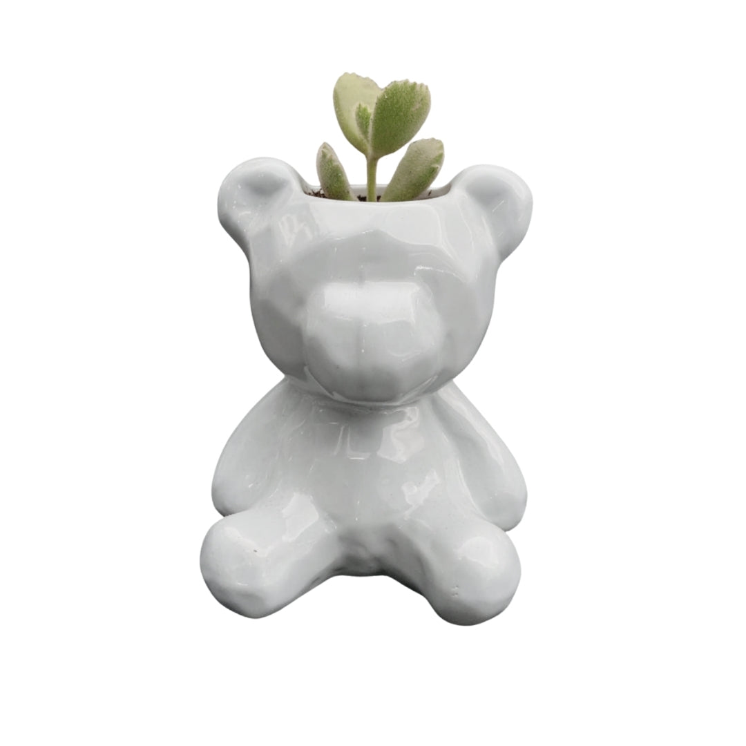 MACETA DE CERAMICA URSA