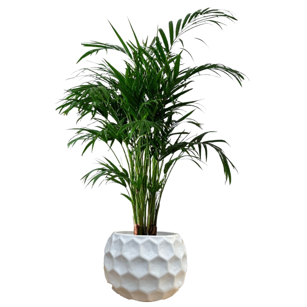 MACETA DE CERAMICA UTRIME