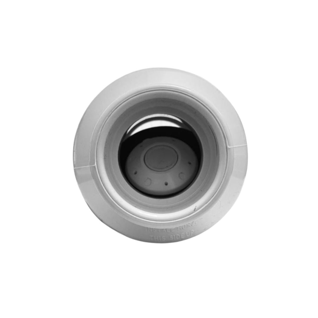 VALVULA CHECK VERTICAL 2" C40