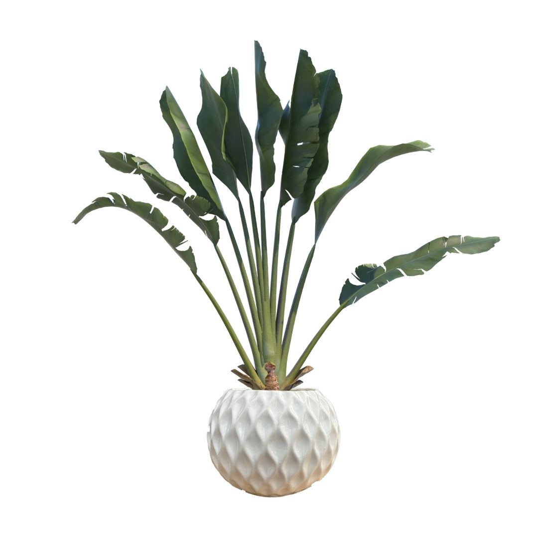 MACETA DE CERAMICA VENIA